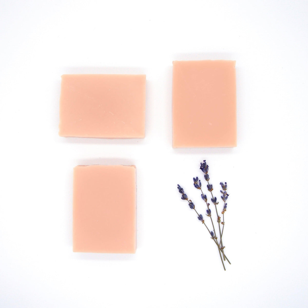 The Treat Bar Soap - SWY - Scent With You
